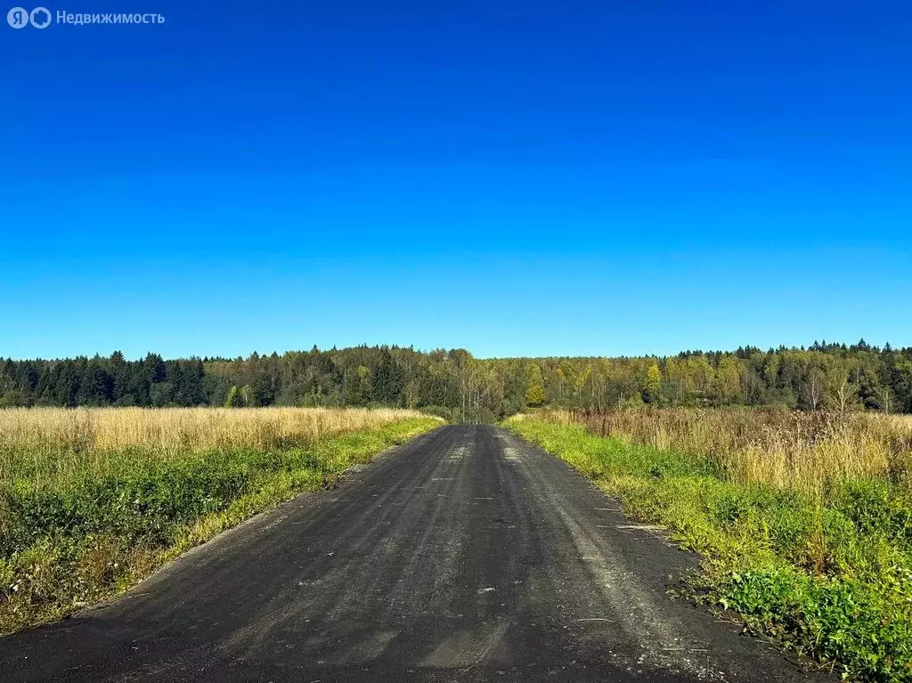 Участок в Московская область, Дмитровский муниципальный округ, КП ... - Фото 1