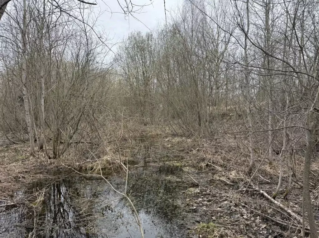 Участок в Московская область, Орехово-Зуевский городской округ, пос. ... - Фото 2