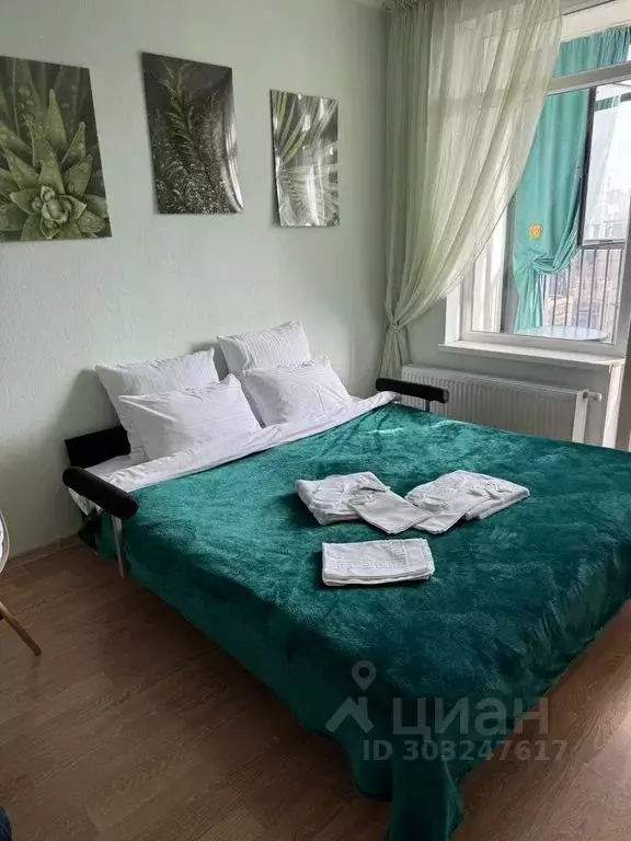 Студия Санкт-Петербург ул. Адмирала Черокова, 18к3 (27.0 м) - Фото 1