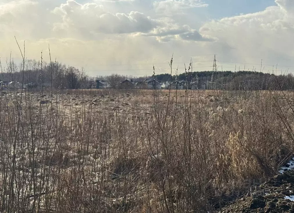 Участок в Московская область, Воскресенск городской округ, с. Ачкасово ... - Фото 0