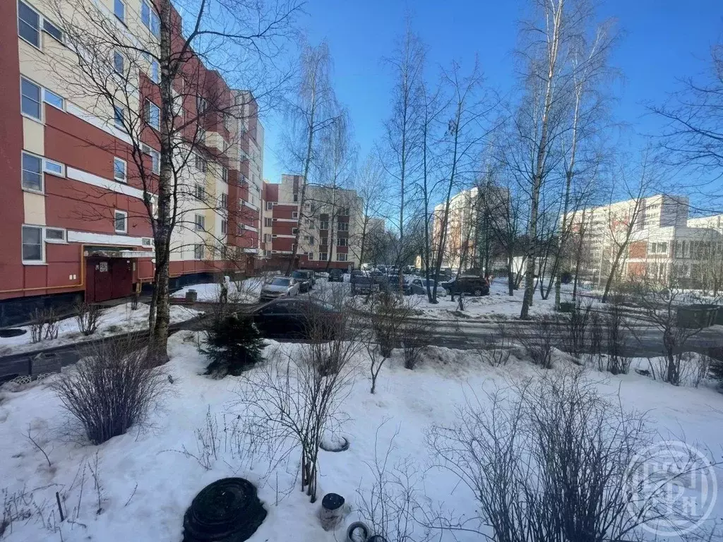 Комната Санкт-Петербург, Санкт-Петербург, Сестрорецк Транспортная ул., ... - Фото 1