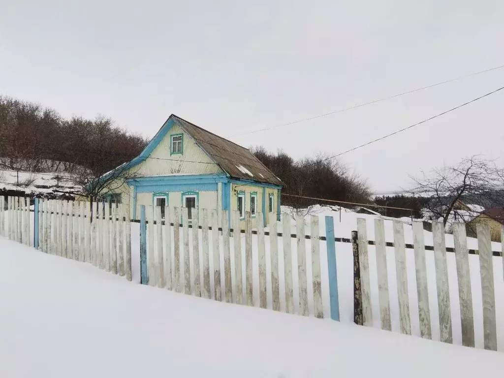 Дом в Башкортостан, Кушнаренковский сельсовет, с. Кушнаренково ул. ... - Фото 0