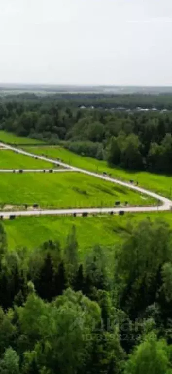 Участок в Московская область, Дмитровский муниципальный округ, с. ... - Фото 1