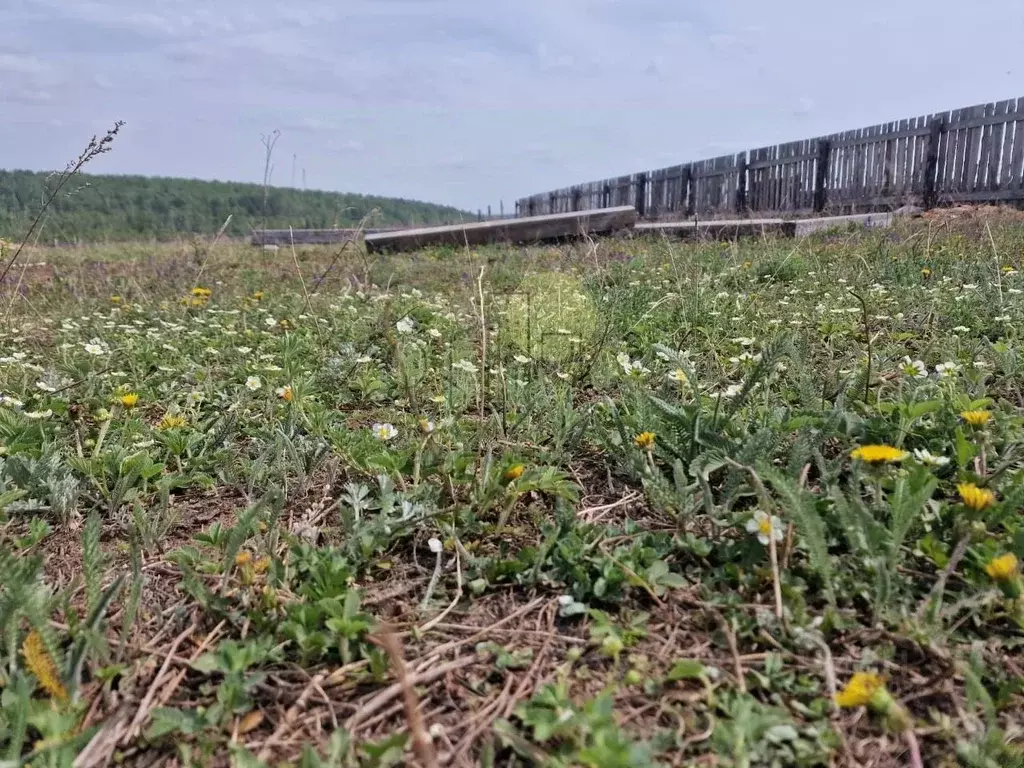 Участок в Иркутская область, Иркутский муниципальный округ, д. Куда ... - Фото 2