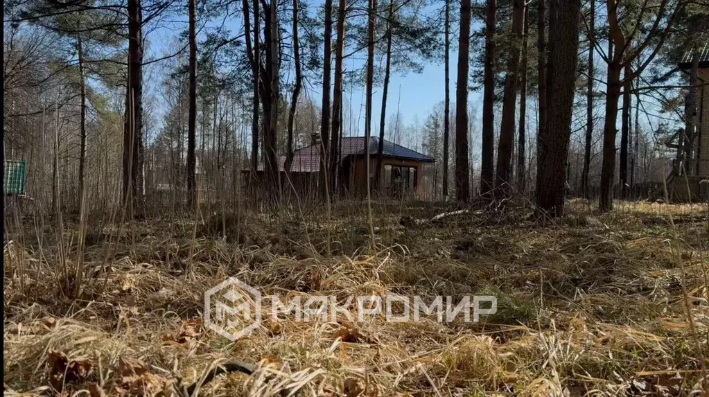 Участок в Ленинградская область, Всеволожский район, Сертоловское ... - Фото 1