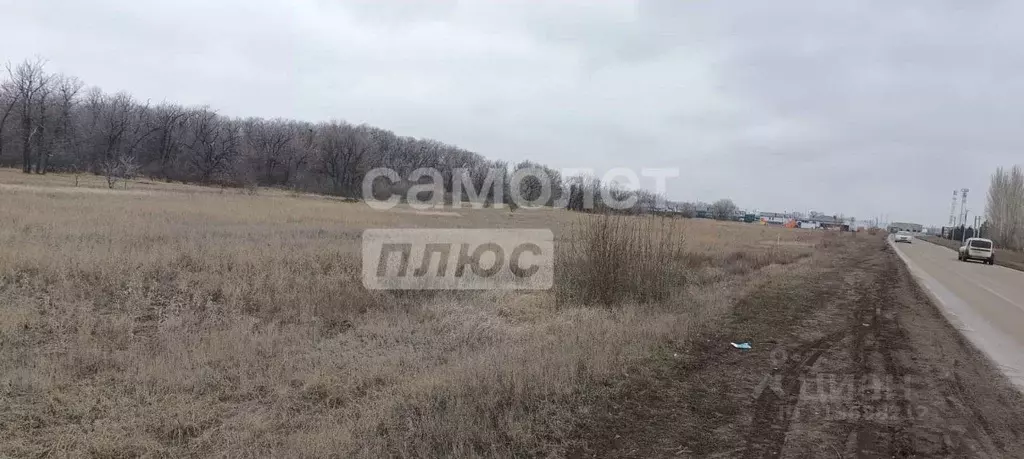 Участок в Волгоградская область, Среднеахтубинский район, Фрунзенское ... - Фото 1
