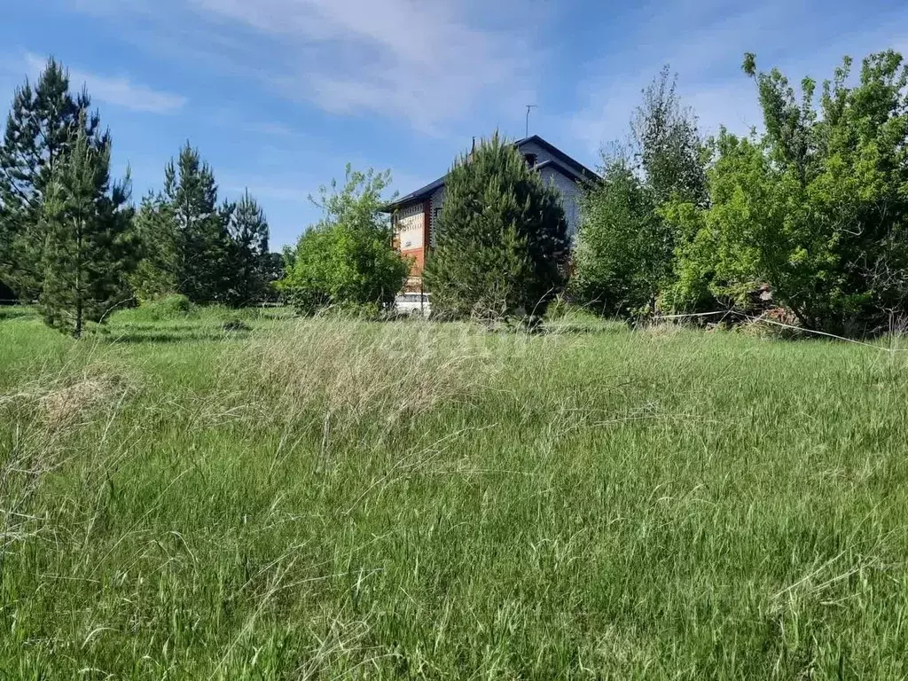 Участок в Алтайский край, Бийск городской округ, с. Фоминское пер. ... - Фото 0