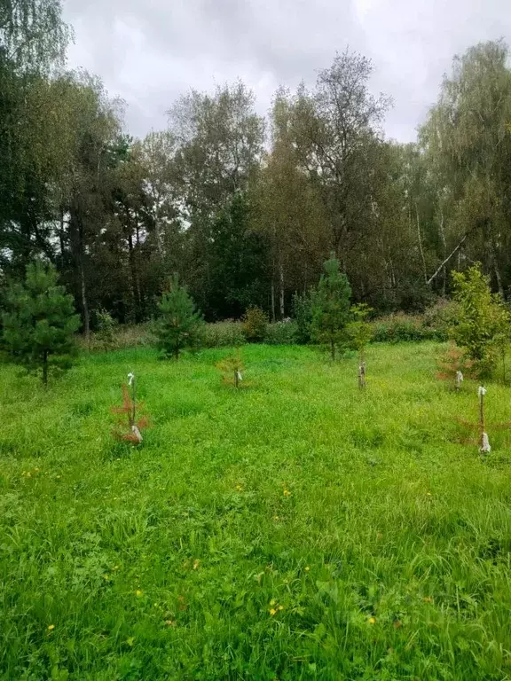 Участок в Московская область, Ступино городской округ, с. ... - Фото 1