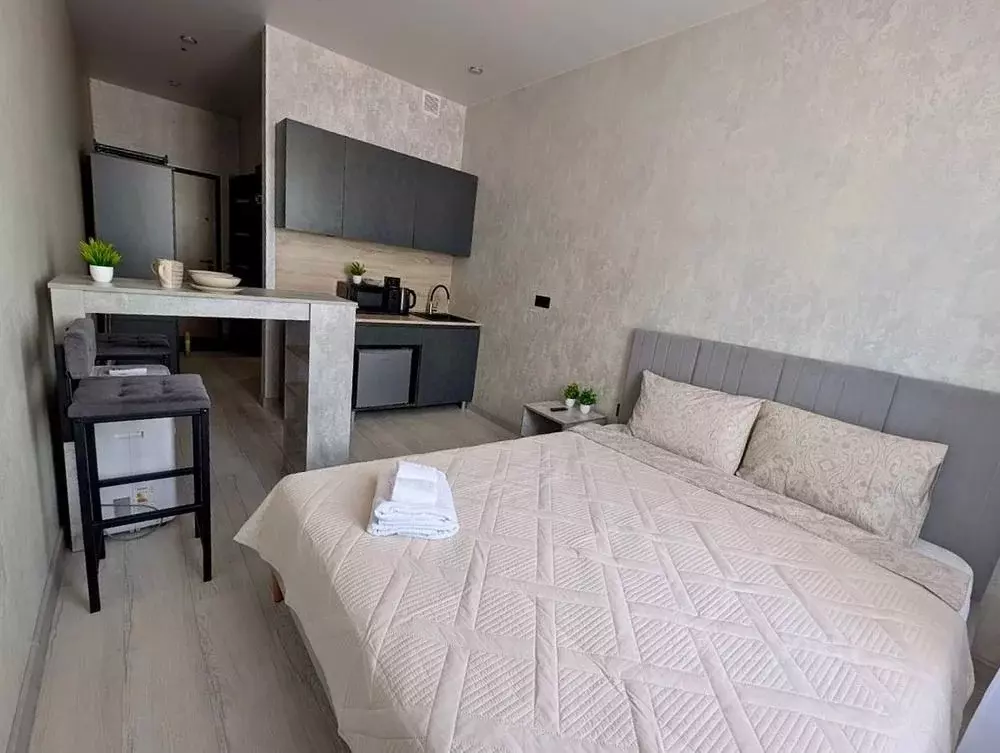 1-к кв. Московская область, Одинцовский городской округ, ... - Фото 2