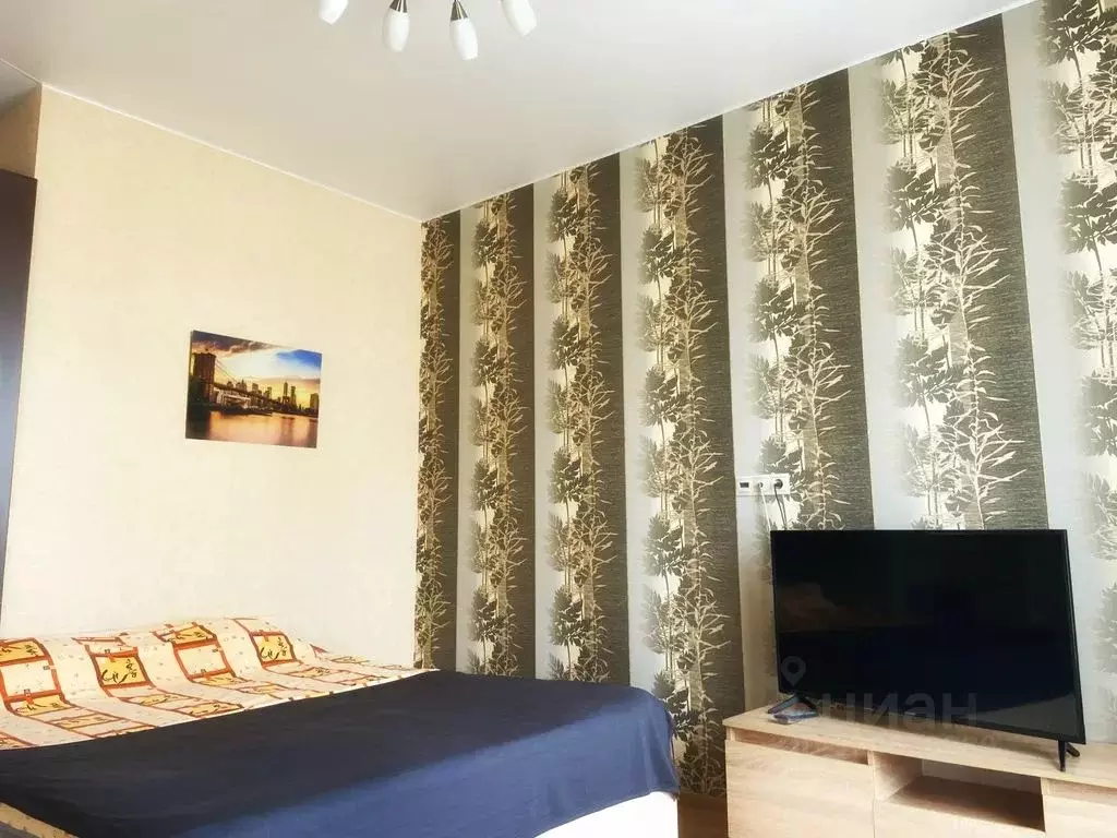 Студия Московская область, Ленинский городской округ, Молоково пгт ... - Фото 1