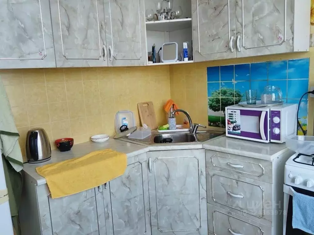 1-к кв. Сахалинская область, Южно-Сахалинск городской округ, с. ... - Фото 1