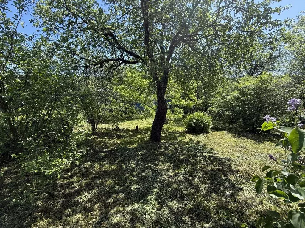 Дача, 50 м - Фото 1