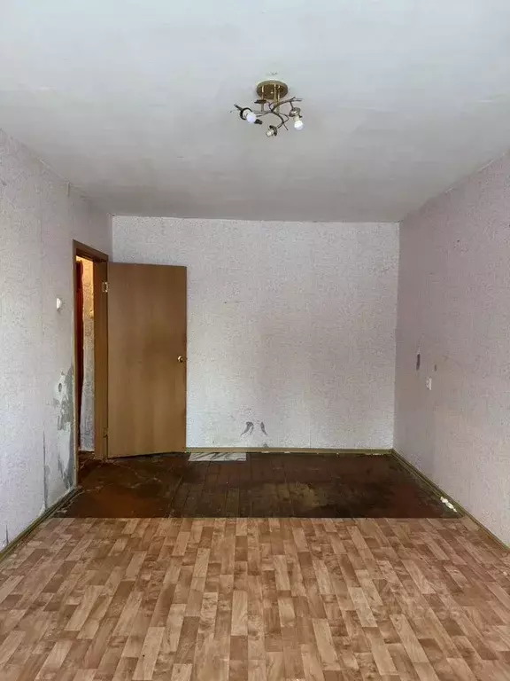 1-к кв. Ленинградская область, Лужский район, Мшинское с/пос, пос. ... - Фото 2