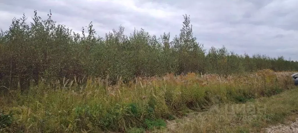 Участок в Нижегородская область, Богородский муниципальный округ, ... - Фото 1