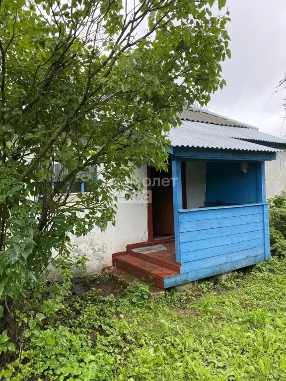 Дом в Нижегородская область, Перевозский муниципальный округ, д. Чепас ... - Фото 2