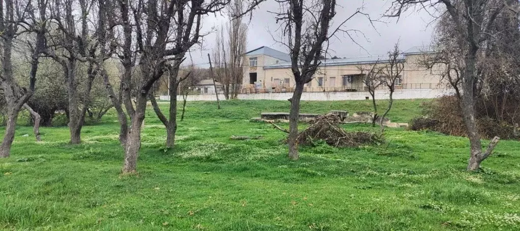 Участок в Крым, Бахчисарайский район, с. Долинное ул. Ленина, 48 ... - Фото 1