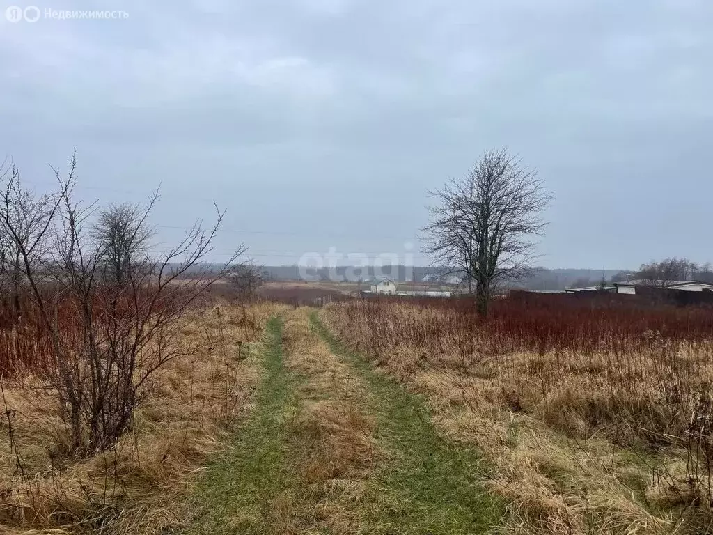 Участок в Калининградская область, Зеленоградский муниципальный округ, ... - Фото 1