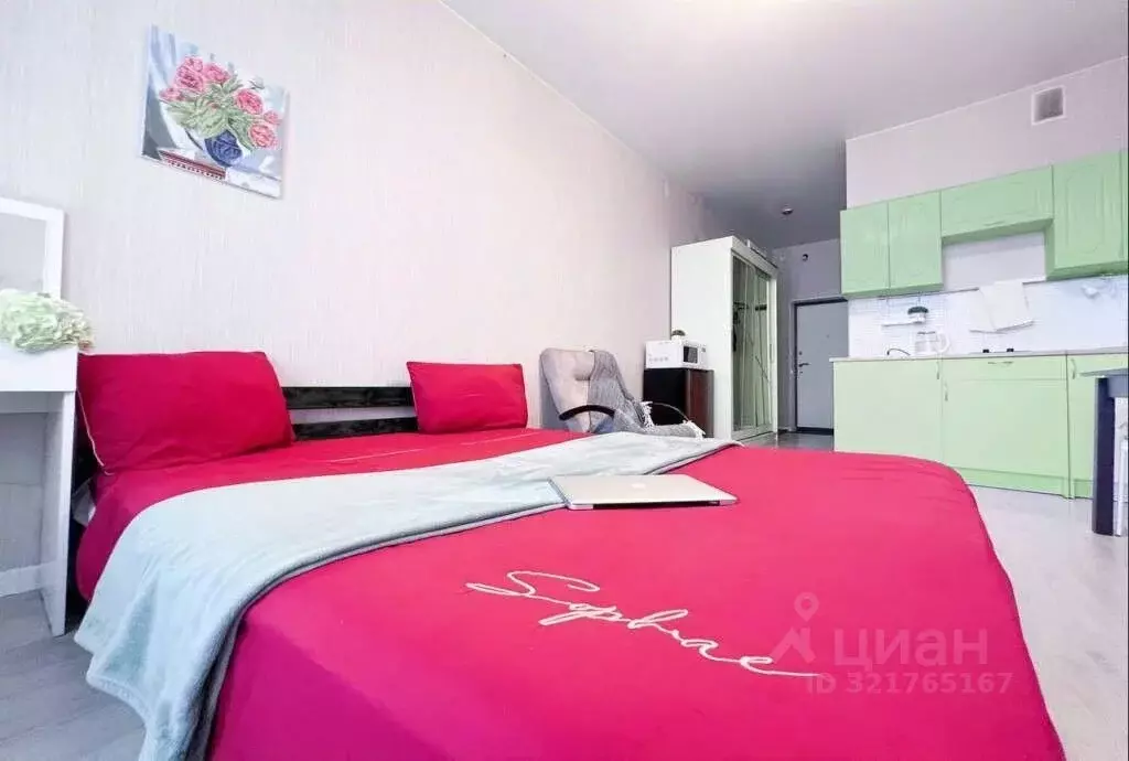 1-к кв. Санкт-Петербург Пулковское ш., 14с6 (28.0 м) - Фото 1