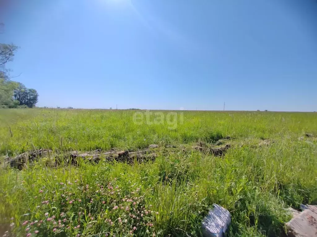 Участок в Московская область, Коломна городской округ, д. Андреевка  ... - Фото 0