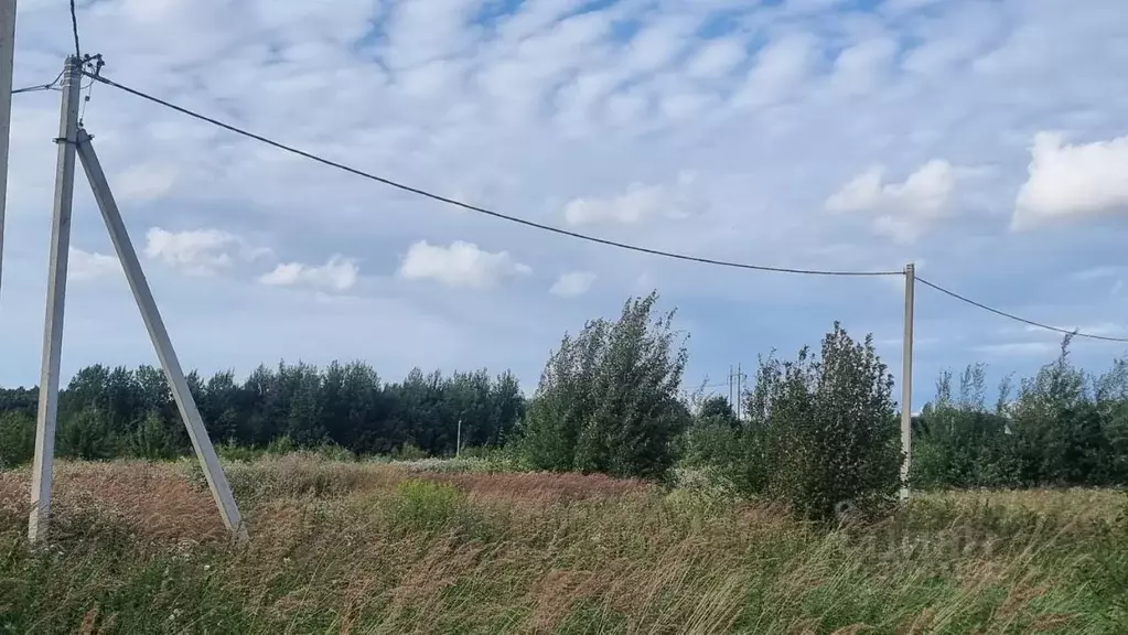 Участок в Калининградская область, Гурьевский муниципальный округ, ... - Фото 0