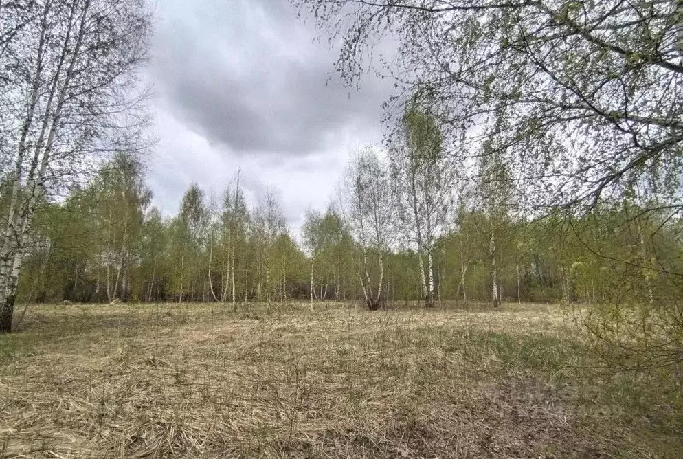 Участок в Московская область, Рузский муниципальный округ, д. ... - Фото 0
