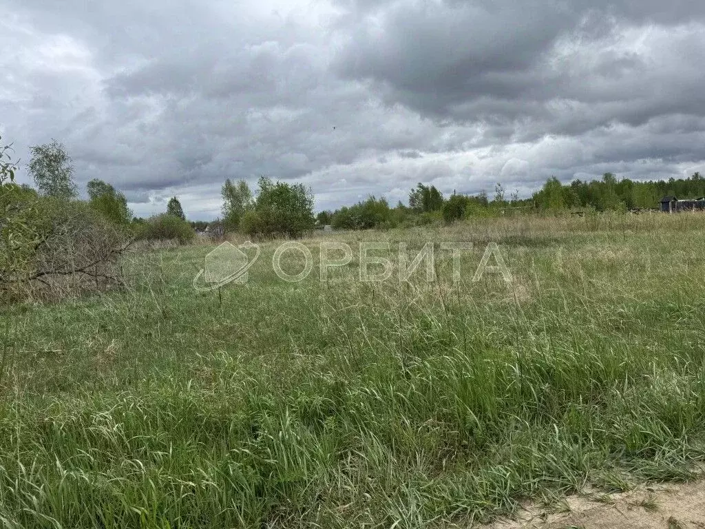 Участок в Тюменская область, Тюменский район, д. Большие Акияры  (8.0 ... - Фото 0