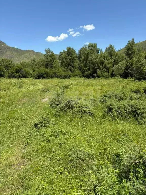 Участок в Алтай, с. Онгудай  (51.6 сот.) - Фото 1