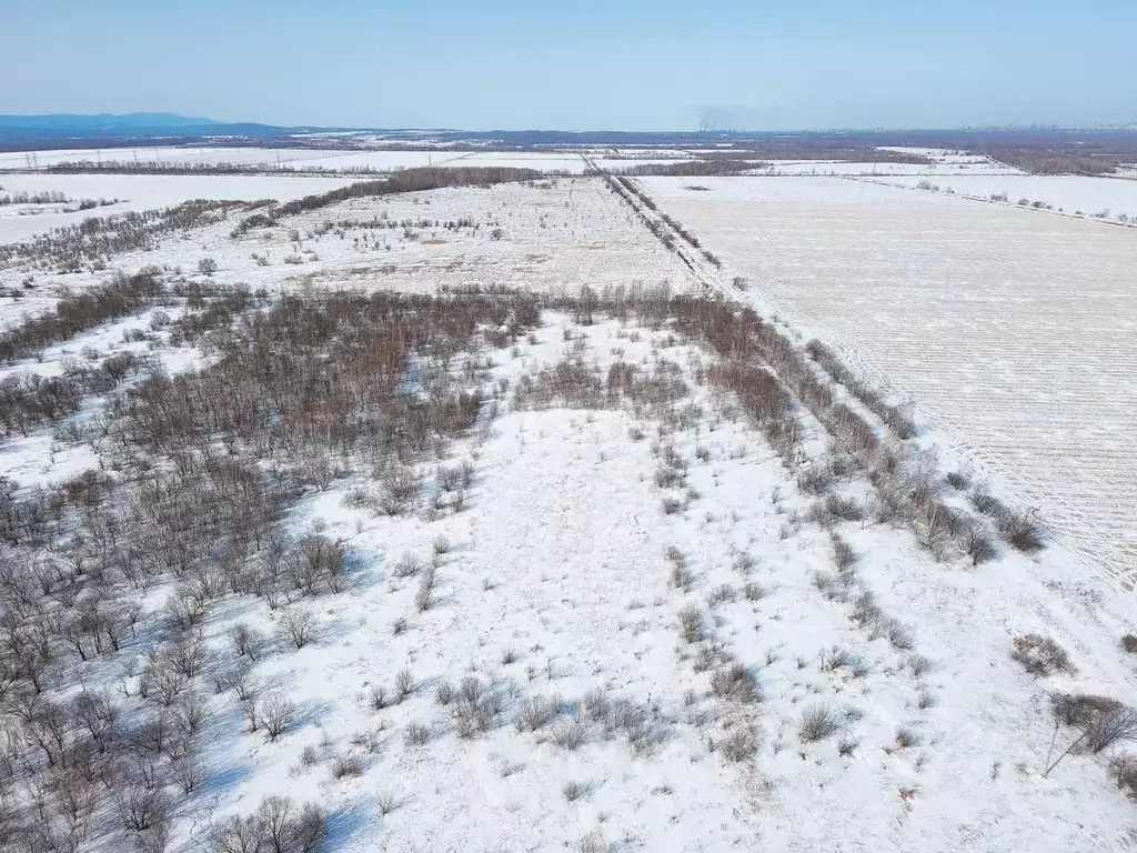 Участок в Хабаровский край, Хабаровский район, с. Дружба Новая ул. ... - Фото 1