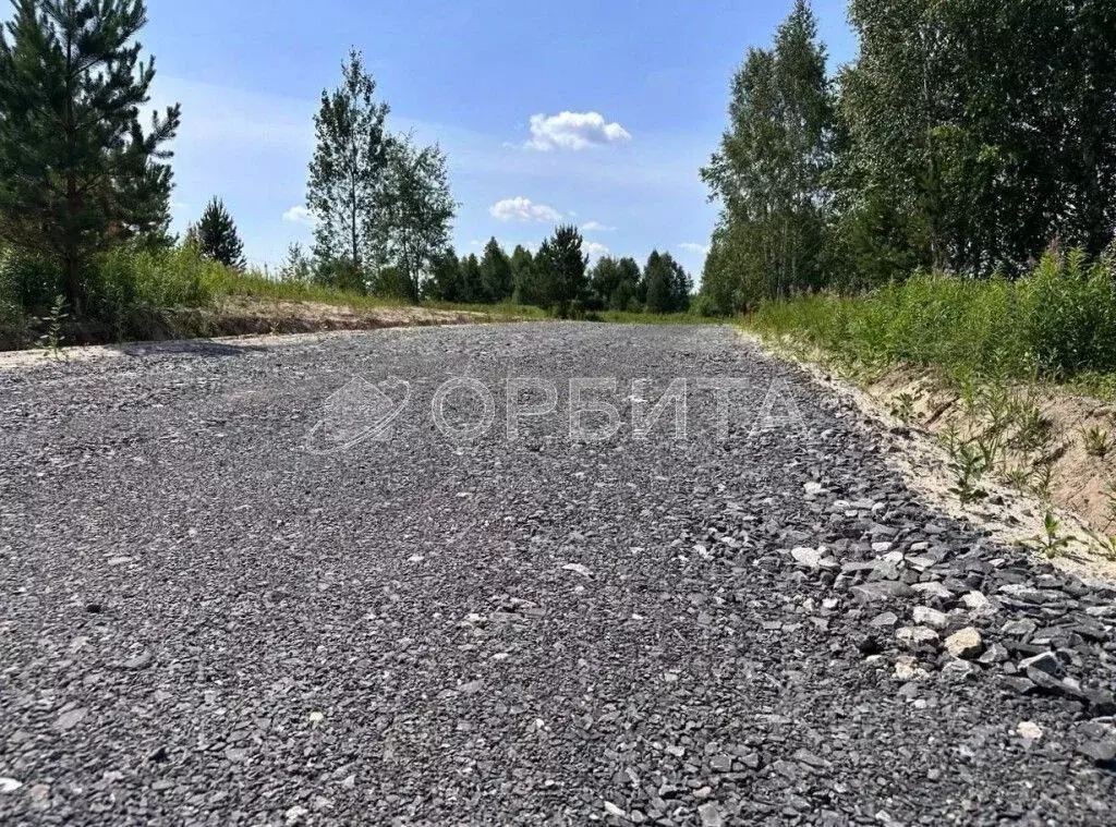 Участок в Тюменская область, Нижнетавдинский муниципальный округ, ... - Фото 2