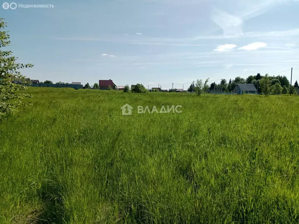 Участок в Вологодский муниципальный округ, деревня Мальгино (Подлесный ... - Фото 1