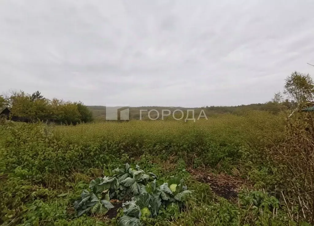 Участок в Кемеровская область, Новокузнецкий муниципальный округ, с. ... - Фото 1