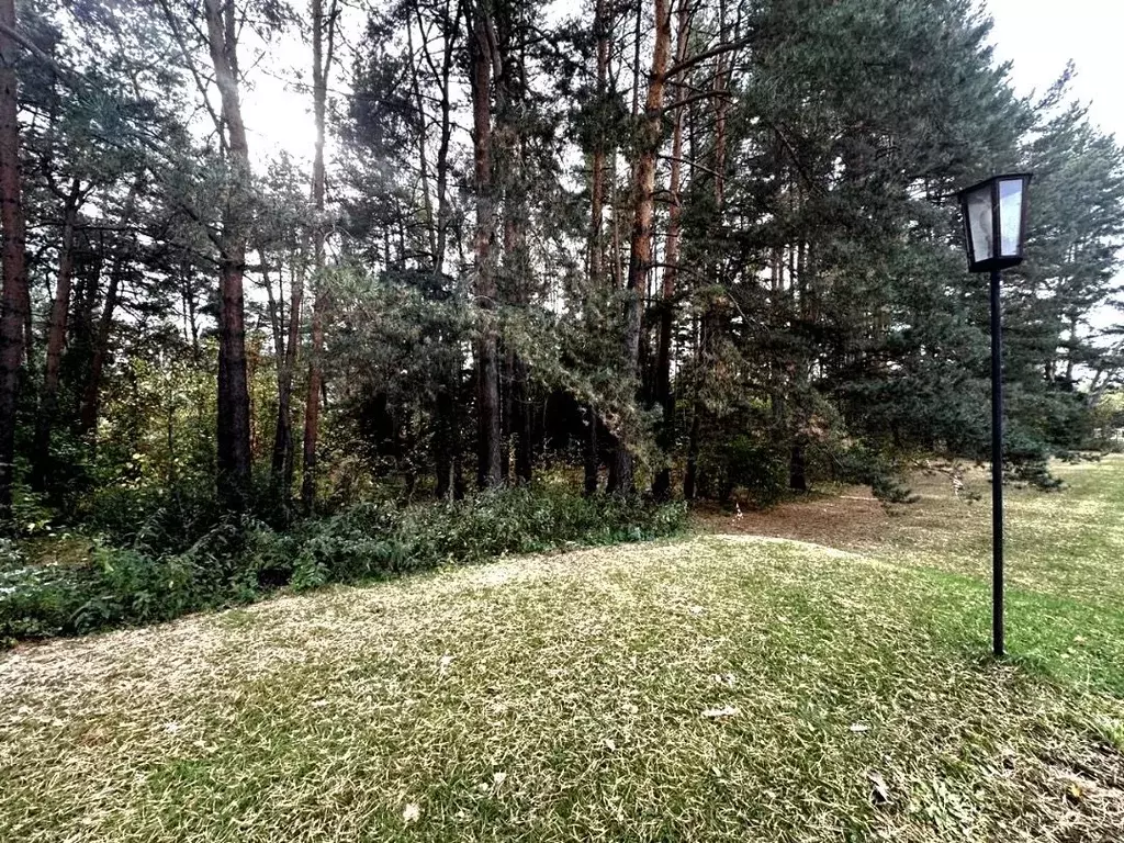 Участок в Московская область, Одинцовский городской округ А-106, 27-й ... - Фото 1