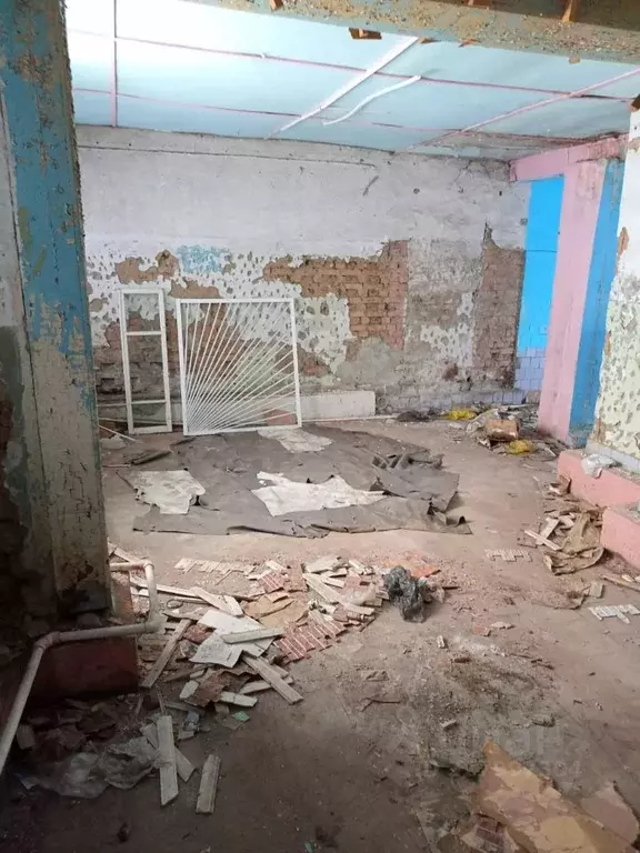 Помещение свободного назначения в Алтайский край, Зональный район, с. ... - Фото 2