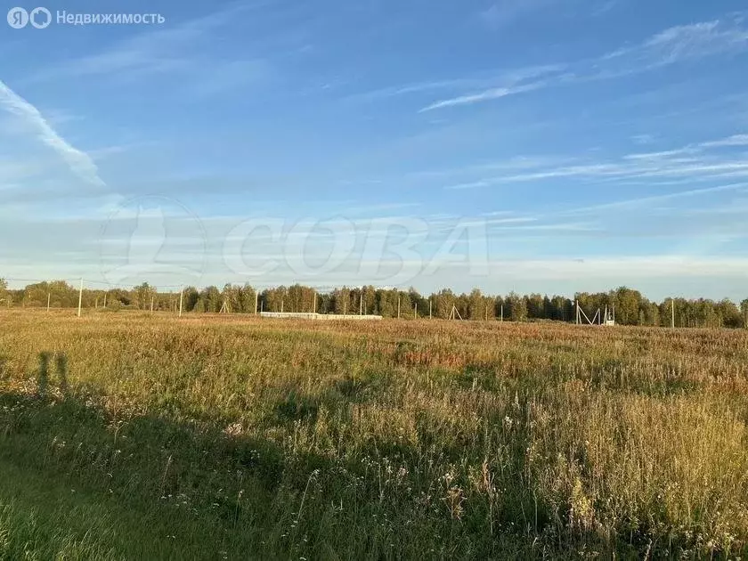 Участок в Тюменский район, Винзилинское муниципальное образование (4 ... - Фото 1