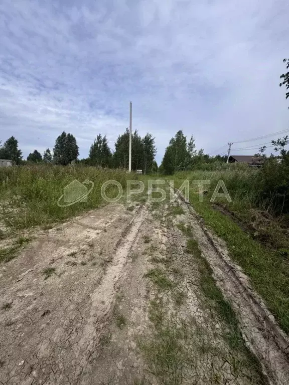 Участок в Тюменская область, Тюмень Садовое товарищество Липовый ... - Фото 0