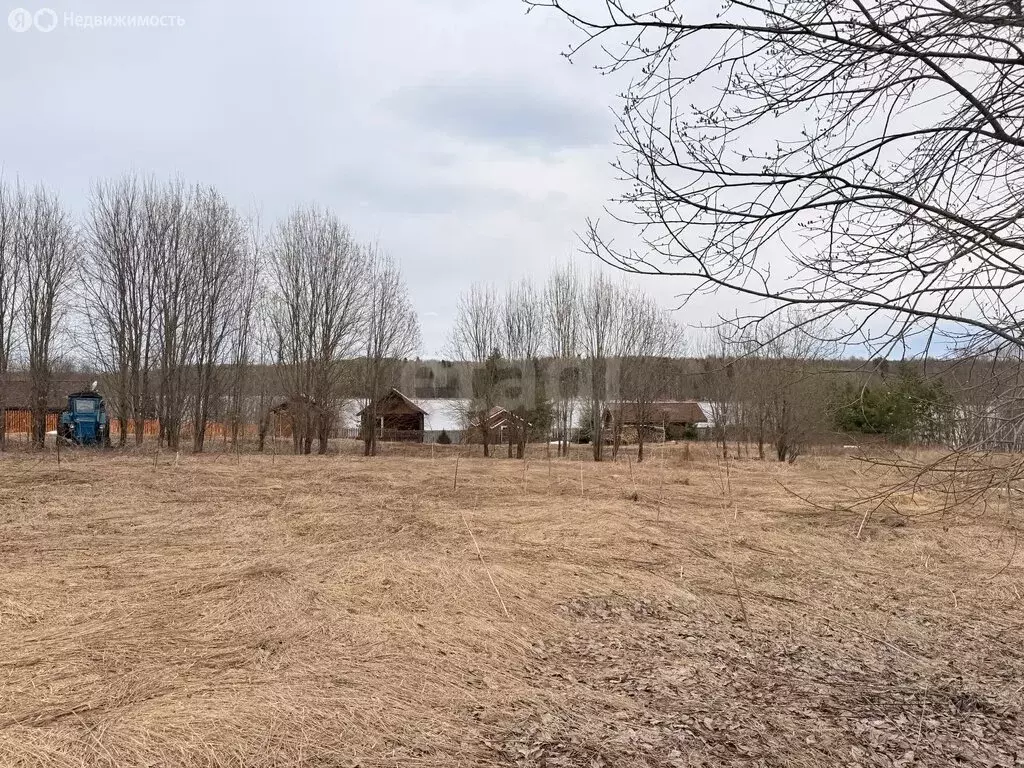 Участок в Вологодская область, Кирилловский муниципальный округ, ... - Фото 1