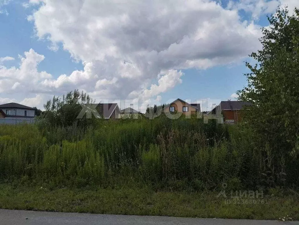 Участок в Новосибирская область, Новосибирский район, Каменский ... - Фото 1