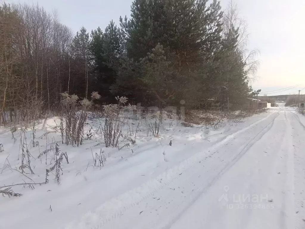 Участок в Нижегородская область, Богородский муниципальный округ, д. ... - Фото 2