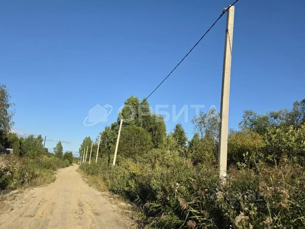 Участок в Тюменская область, Тюмень Велижанский тракт, 9-й км (6.58 ... - Фото 1