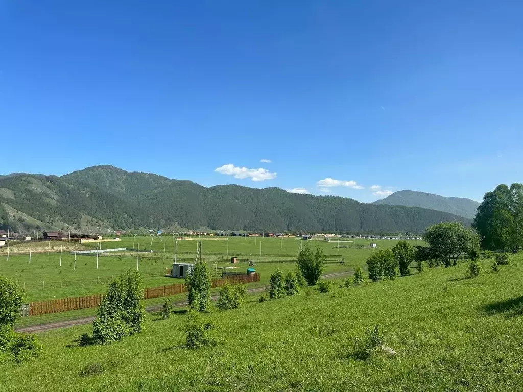 Участок в Алтай, Чемальский район, Аносинское с/пос  (11.95 сот.) - Фото 1