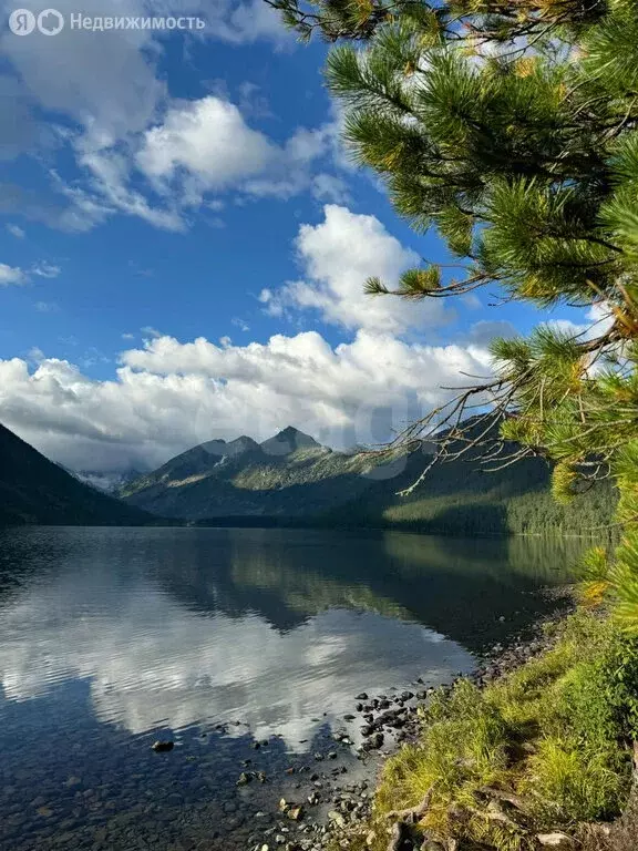 Участок в Усть-Коксинский район, село Мульта (18 м) - Фото 2