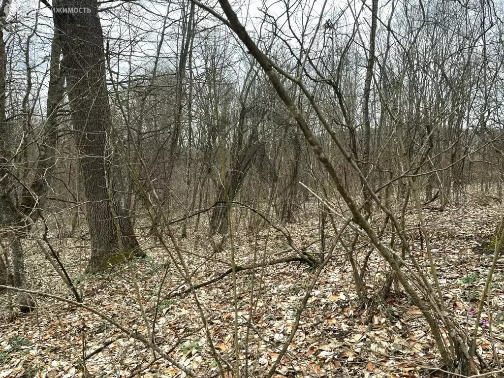 Участок в посёлок городского типа Нефтегорск, улица Сиуды (25 м) - Фото 1