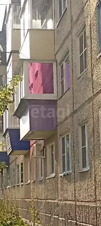 3-к кв. Курганская область, Шадринск Пролетарская ул., 76 (61.8 м) - Фото 2