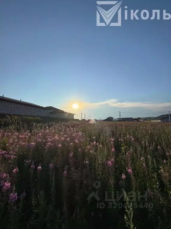 Участок в Иркутская область, Иркутский муниципальный округ, с. Мамоны ... - Фото 1