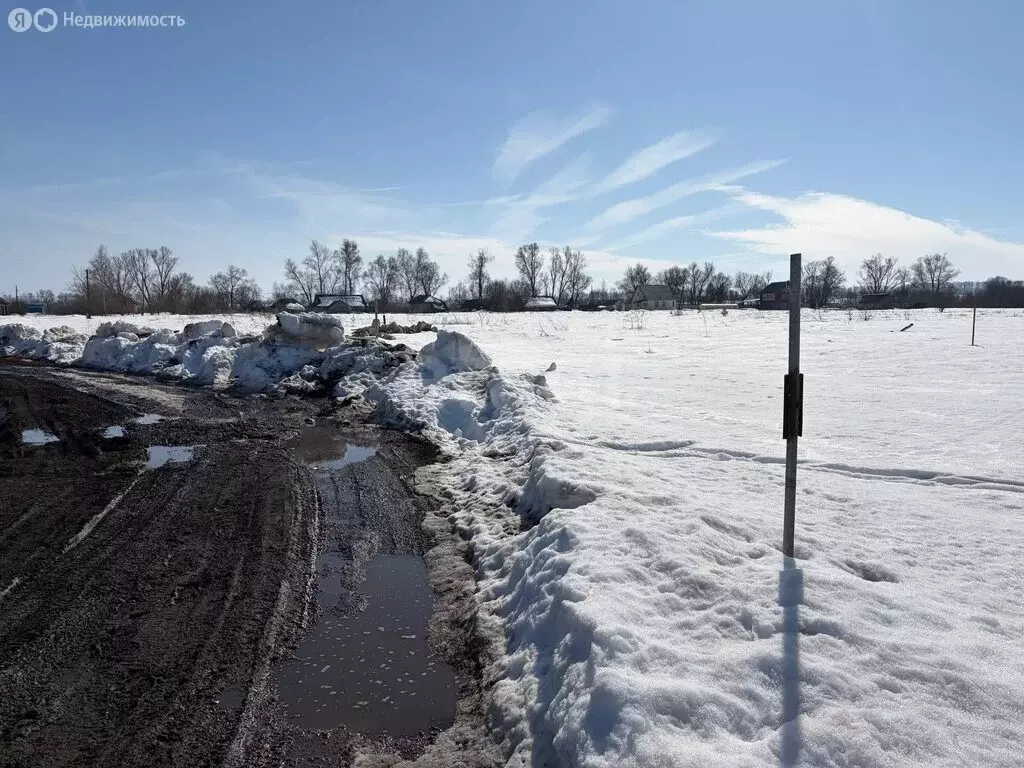 Участок в Республика Мордовия, городской округ Саранск, село Напольная ... - Фото 2