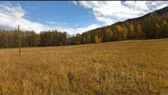 Участок в Алтай, Усть-Канский район, с. Владимировка  (85.0 сот.) - Фото 2