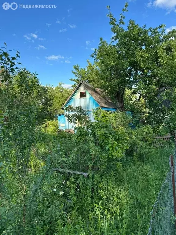 Дом в Брянск, садоводческое общество Природа (20 м) - Фото 1