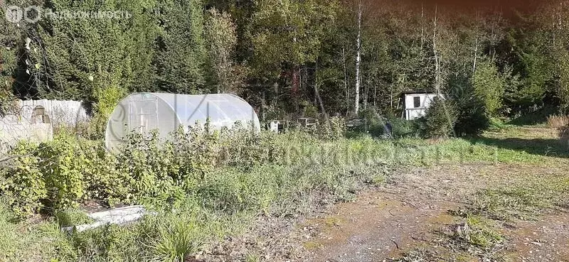 Участок в Свердловское городское поселение, садоводческий массив ... - Фото 1