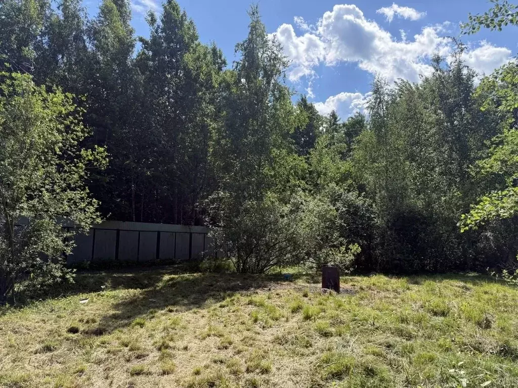 Участок в Санкт-Петербург, Санкт-Петербург, Павловск Уголек СНТ, 2-я ... - Фото 1