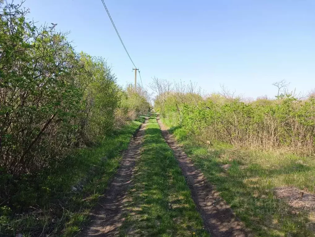 Участок в Краснодарский край, Ейское городское поселение, пос. ... - Фото 1